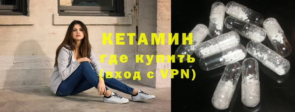 сатива Бородино