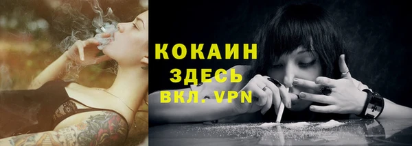 спиды Богородицк