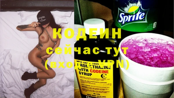 спиды Богородицк