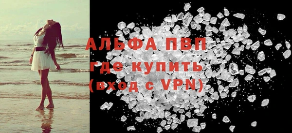 спиды Богородицк