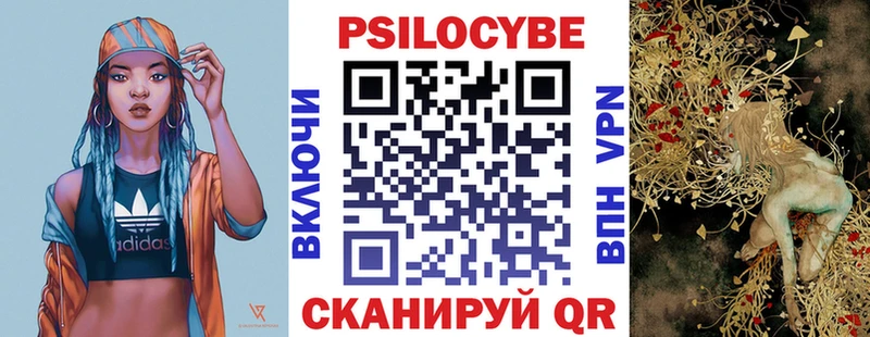 Галлюциногенные грибы мицелий  продажа наркотиков  Верхний Тагил 